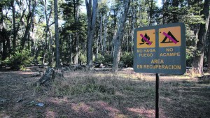 El STJ exigió informe al Ejecutivo provincial por el incumplimiento de la ley de Bosques en Río Negro