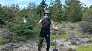 Convocan a una campaña para erradicar pinos en el área del cerro Catedral, en Bariloche