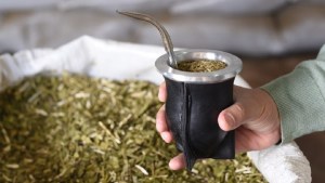 ¿Aumentará la yerba?: se postergó la discusión donde productores buscaban ajustar los precios