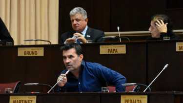 Darío Martínez, diputado de Unión por la Patria. Foto: Matías Subat.