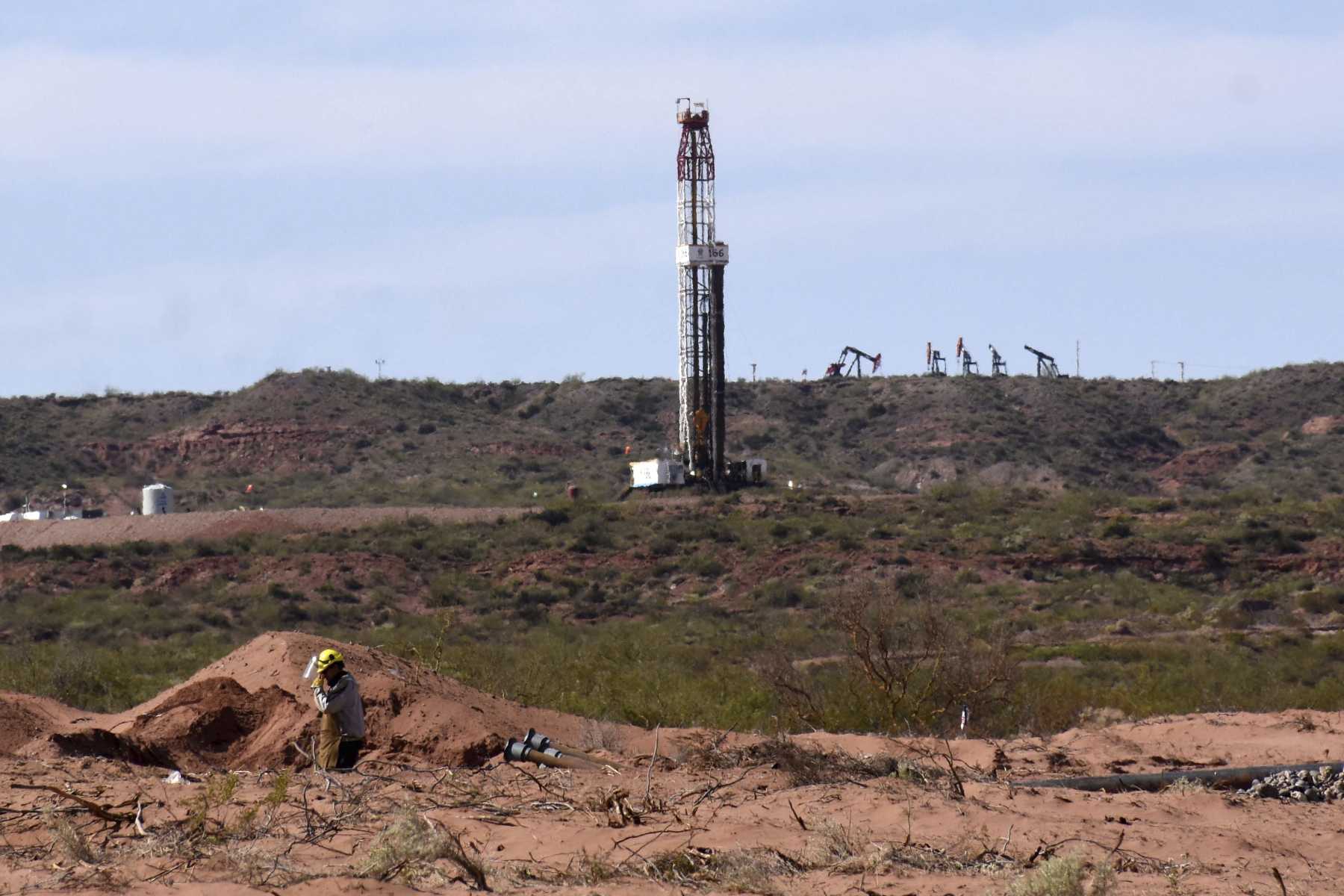 La fauna en la región de Vaca Muerta se hace presente.  Foto: Matías Subat. 
