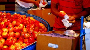 Fiesta de la Manzana 2025: todas las novedades en una edición que llega con predio nuevo