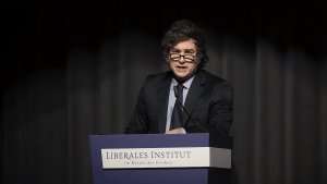 Los contenidos difusos del plebiscito