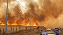 Imagen de Toque de queda en tres comunas de Chile por los incendios forestales a la altura de Neuquén