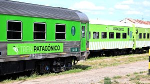 Río Negro tiene todo listo para renovar la concesión nacional del tren