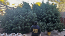 Imagen de Operativo antidroga desbarató un punto de venta en Río Negro: marihuana, armas y municiones
