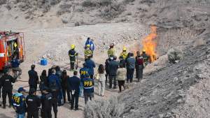 Video | Quemaron más de 350 plantas de marihuana secuestradas en causas federales de Roca