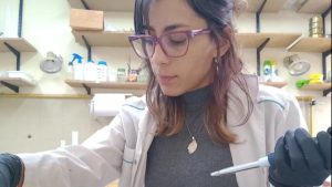 Quién es la investigadora que creó un superjugo de Calafate