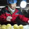 Imagen de Por primera vez, China empezó a exportar peras a la Argentina: se trata de un cargamento de más de 17 toneladas
