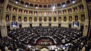 Diputados debatirá la Ley de Emergencia en Discapacidad mientras Javier Milei advierte que será vetada