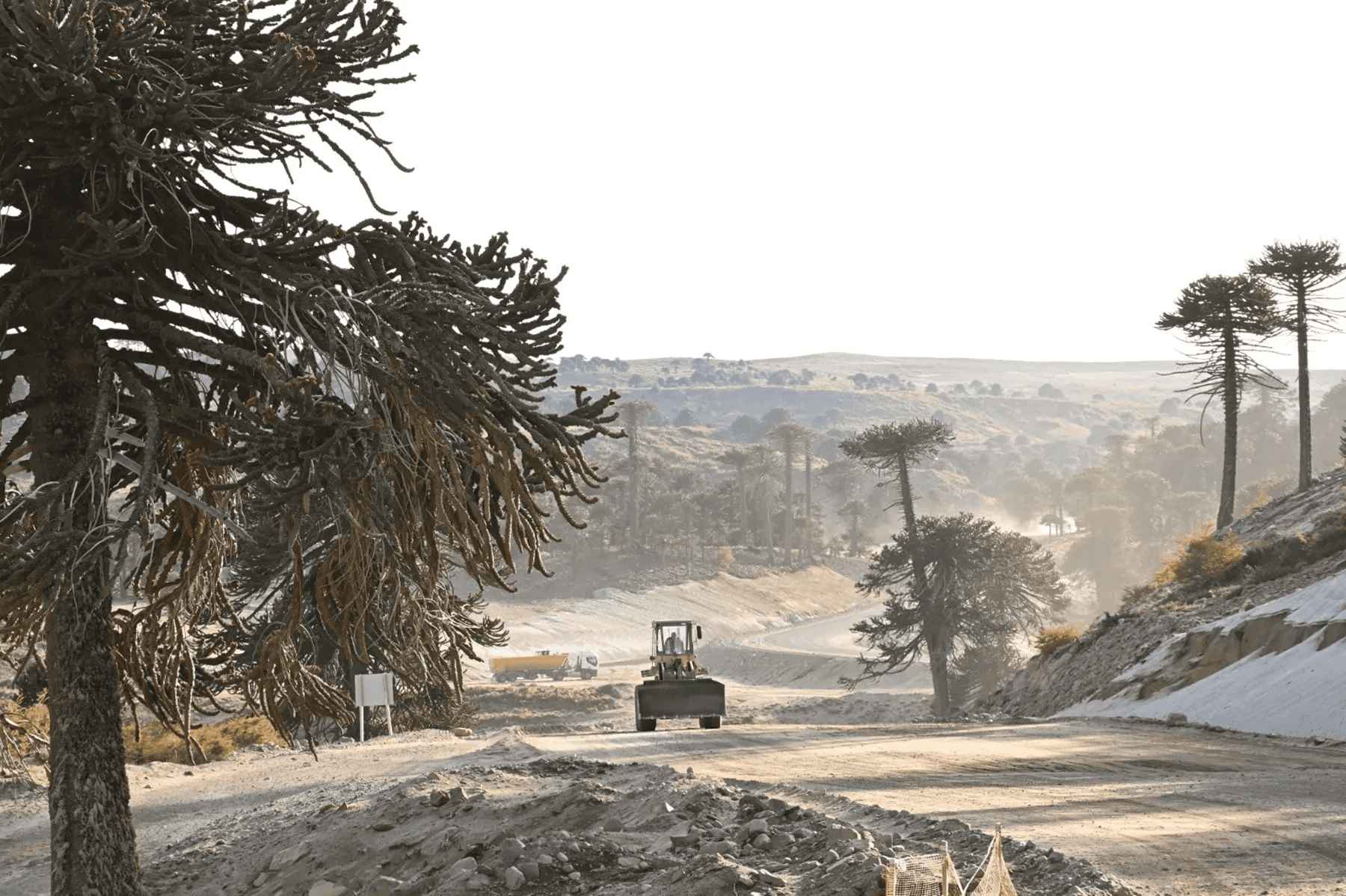 La Ruta 23, ubicada en la cordillera de Neuquén. Foto: Alejandro Carnevale. 