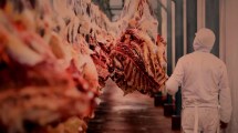 Imagen de Asado de Brasil en Río Negro y Neuquén: qué es el estradiol que rechaza la Unión Europea