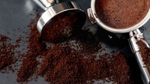 Café reciclado: cómo usar los restos para darle potencia a tus plantas de interior y exterior